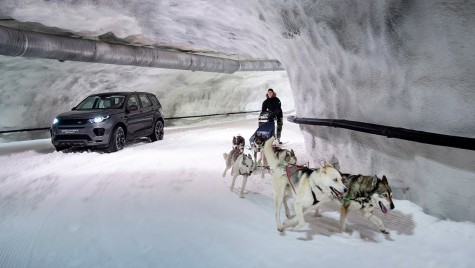 Cai putere vs câini putere – Land Rover Discovery Sport se ia la întrecere cu o sanie trasă de câini husky