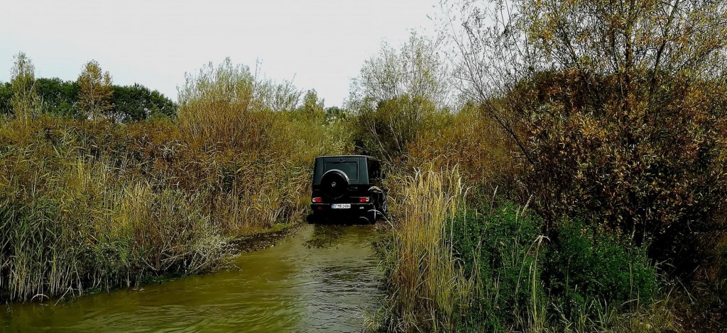 Mercedes-Benz Driving Events and Bridgestone (21)