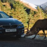 BMW 440i Coupé (20)