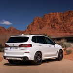 BMW X5 (20)