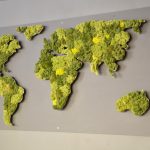 Ți-ai cumpărat o mașină electrică? Iată ce poți face mai departe