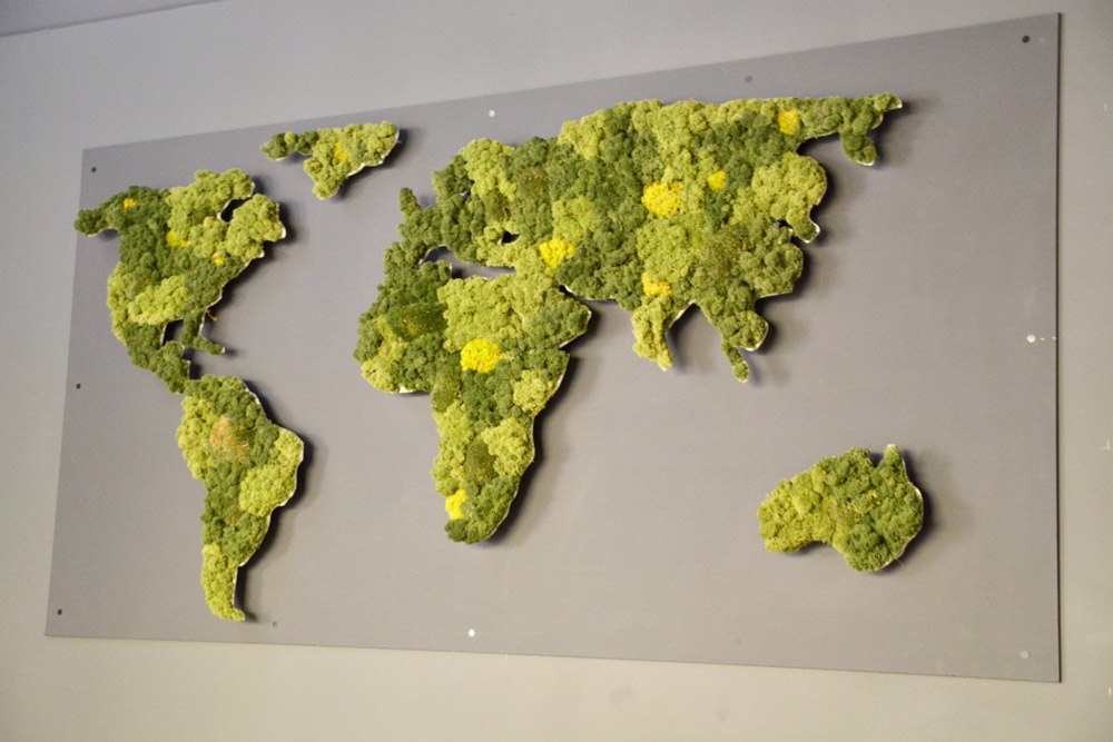 Ți-ai cumpărat o mașină electrică? Iată ce poți face mai departe