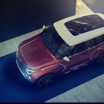 Lada Niva California (9)