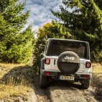 Alternativa la DN1 Jeep Wrangler Rubicon 2020