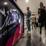 Davidoff Auto Motor și Sport România autoexpert.ro