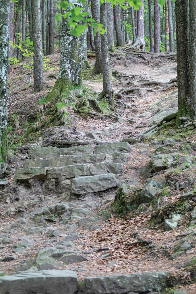 Cu Mazda MX-5 la Slănic Moldova autoexpert.ro