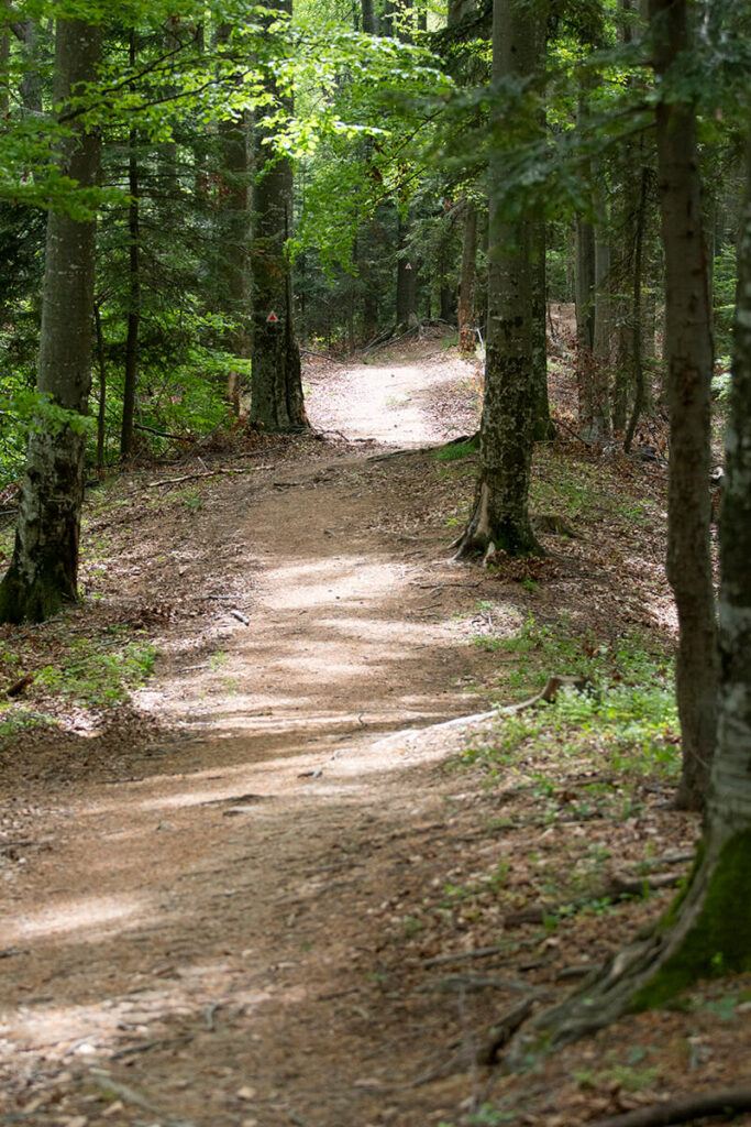 Cu Mazda MX-5 la Slănic Moldova autoexpert.ro