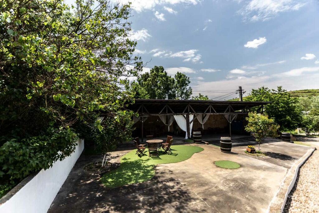 Škoda Enyaq iV RS Coupé, la Conacul dintre Vii AutoExpert