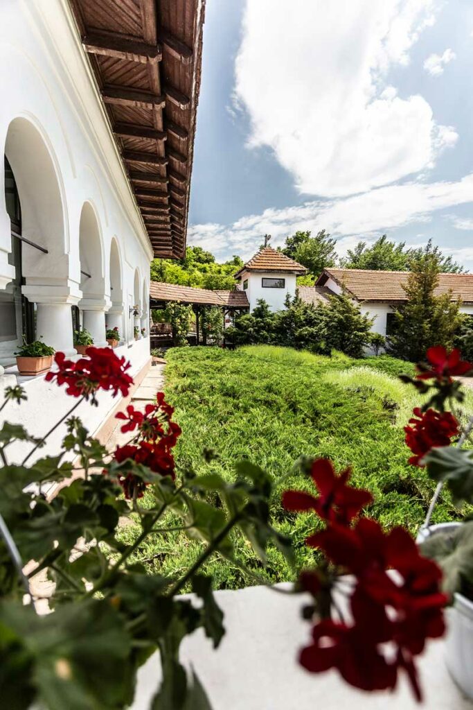 Škoda Enyaq iV RS Coupé, la Conacul dintre Vii AutoExpert