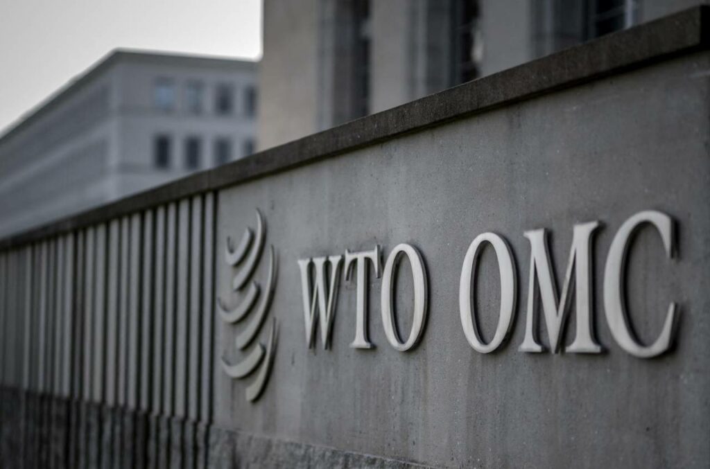 Organizatia Mondiala a Comertului - China UE taxe masini electrice 2