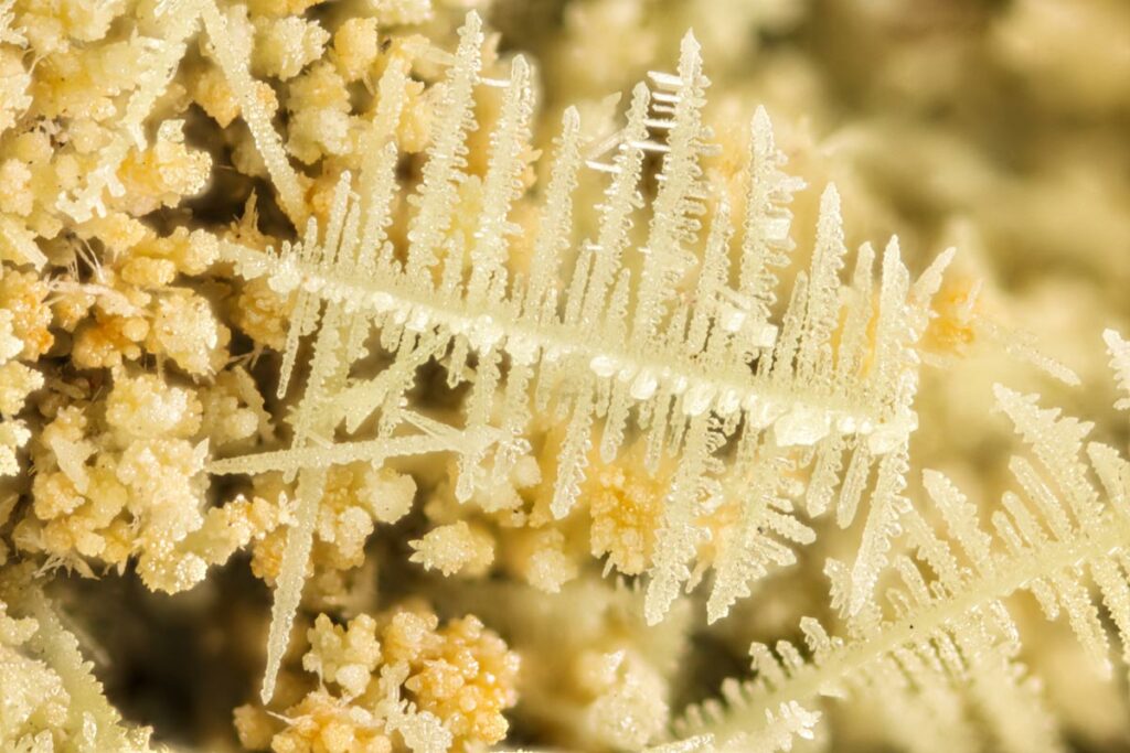 Theion baterie sulf AutoExpert.ro