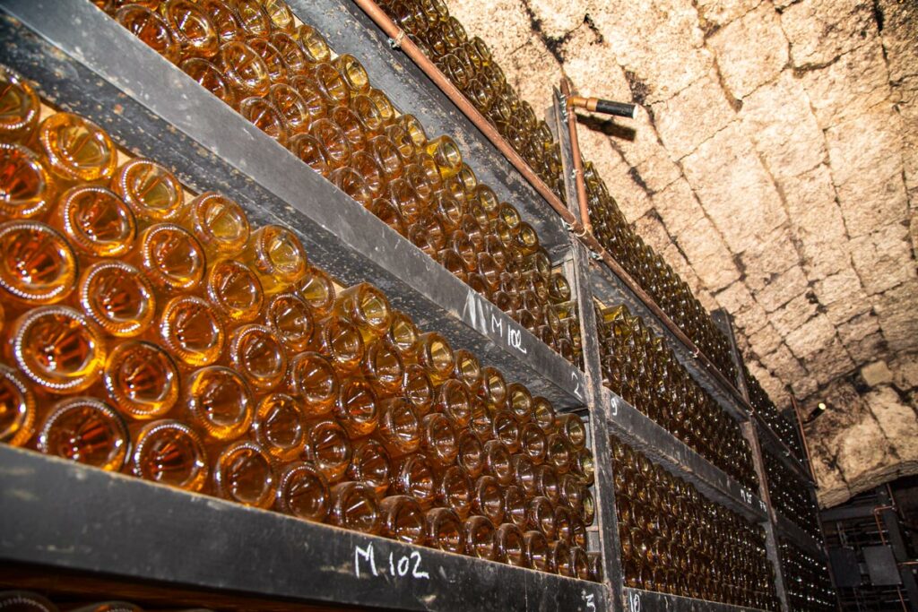 Dacia Duster si Bigster la Beciul Domnesc - AutoExpert