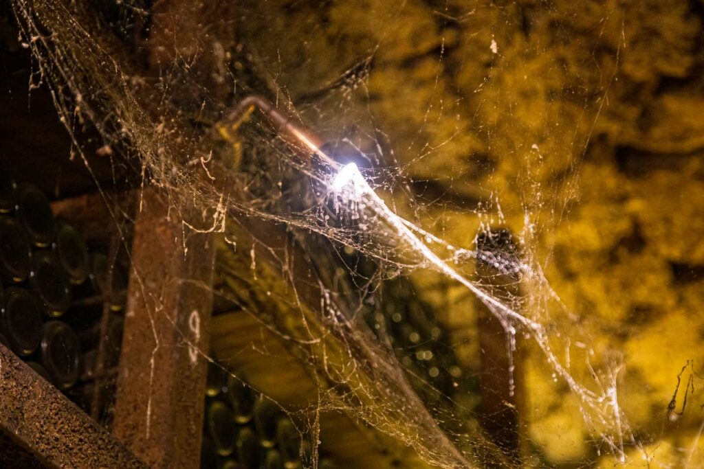 Dacia Duster si Bigster la Beciul Domnesc - AutoExpert