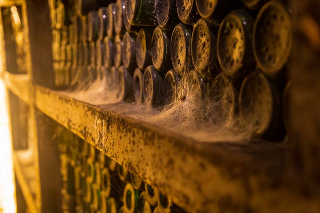 Dacia Duster si Bigster la Beciul Domnesc - AutoExpert