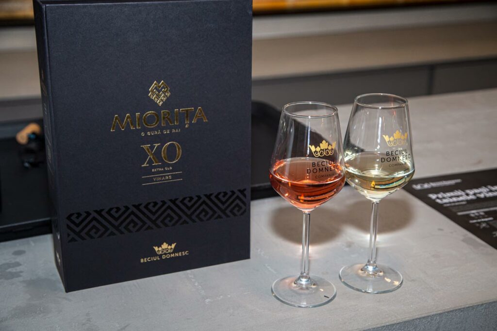 Dacia Duster si Bigster la Beciul Domnesc - AutoExpert