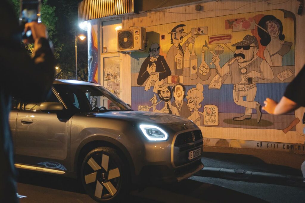 Ion Barladeanu - Adrian Cobzasu AutoExpert