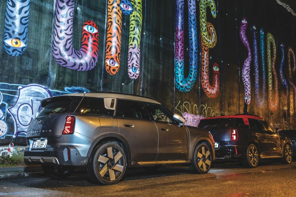 Pictor Arthur Verona - Ocu - Bogdan Paraschiv