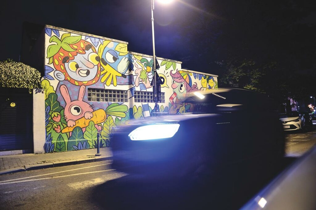 Pictor Arthur Verona - Mihai Dascalescu AutoExpert