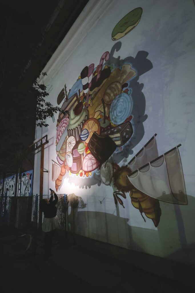 Pictura-Nadine-Kseibi - Dragos Savu - AutoExpert