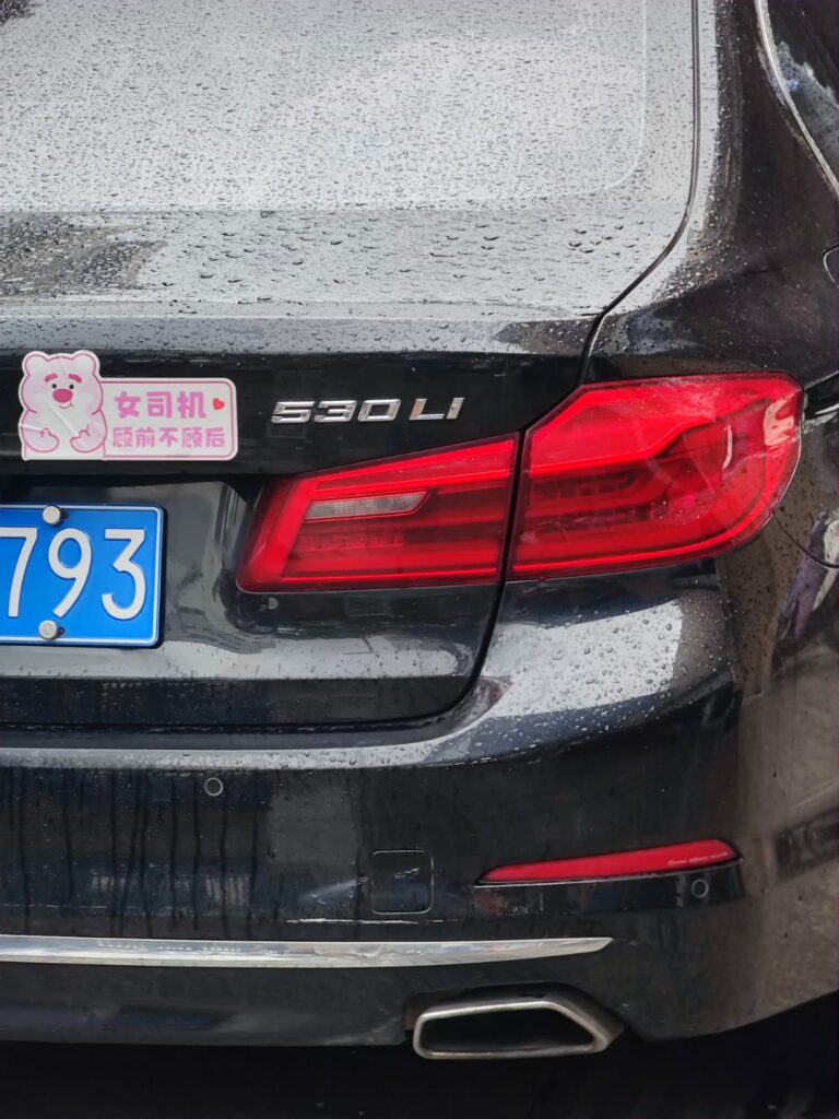 BMW 530 Li China AutoExpert