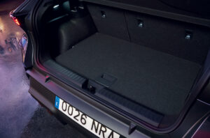 Cupra Raval VZ AutoExpert