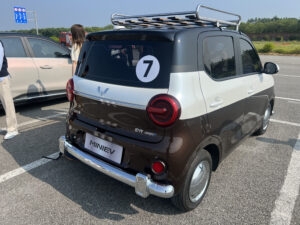 MINIEV AutoExpert