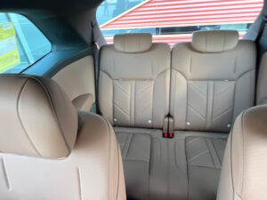 Starlight L AutoExpert-(1)
